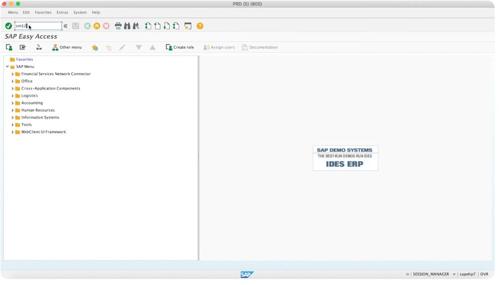 SM12 Select Lock Entries screen with table name, lock argument, client and user name fields