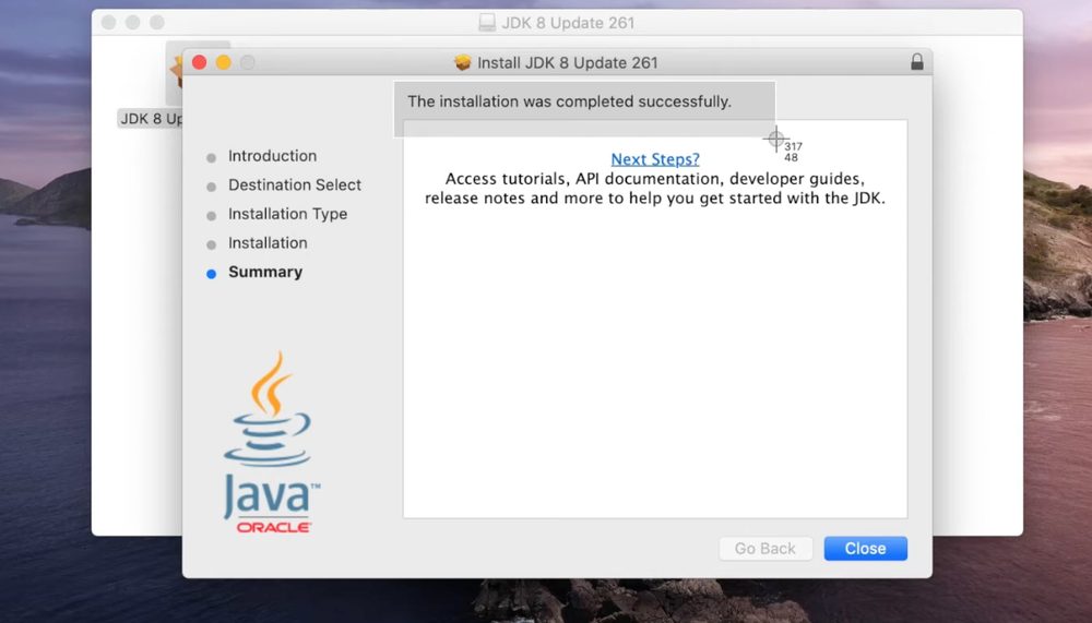 Java installation completed successfully message on macOS