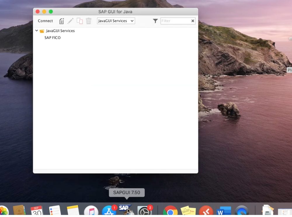SAP GUI for Java logon pad open on a Mac showing a saved SAP FICO connection