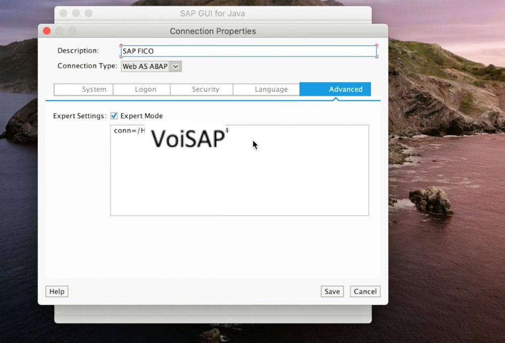 SAP GUI for Java Connection Properties Advanced tab with Expert Mode connection string