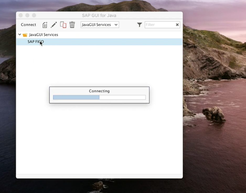 SAP GUI for Java connecting to the SAP server